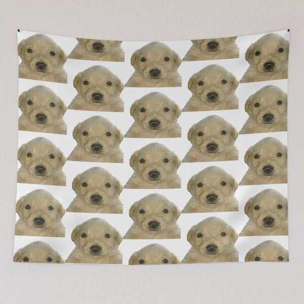 Item preview, Jotchua meme jotchua dog  designed and sold by romanticists.