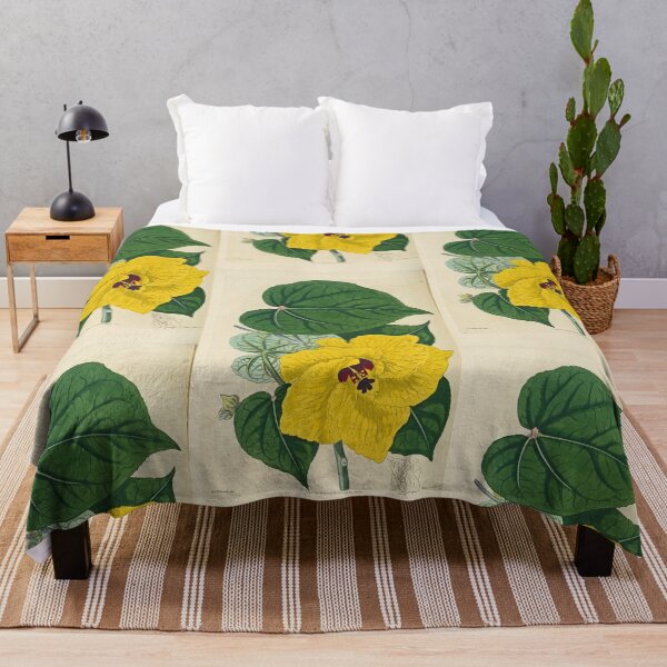 Item preview, Sydenham Edwards' Yellow Hibiscus  designed and sold by Lloyd Library & Museum.