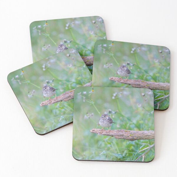 Item preview, Berthelot's Pipit designed and sold by karmardesigns.