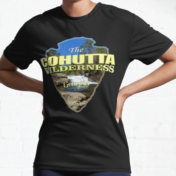 Vista previa del artículo con la obra «Desierto de Cohutta (punta de flecha)», diseñado y vendido por curranmorgan.