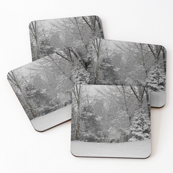 Item preview, Snow storm of December 2009 designed and sold by chstudios.
