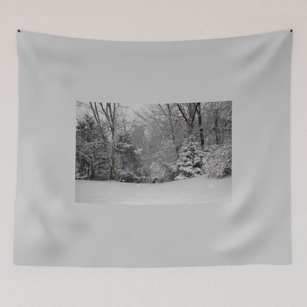 Item preview, Snow storm of December 2009 designed and sold by chstudios.