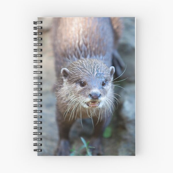 Item preview, Nutria designed and sold by Sandra Lawrence.