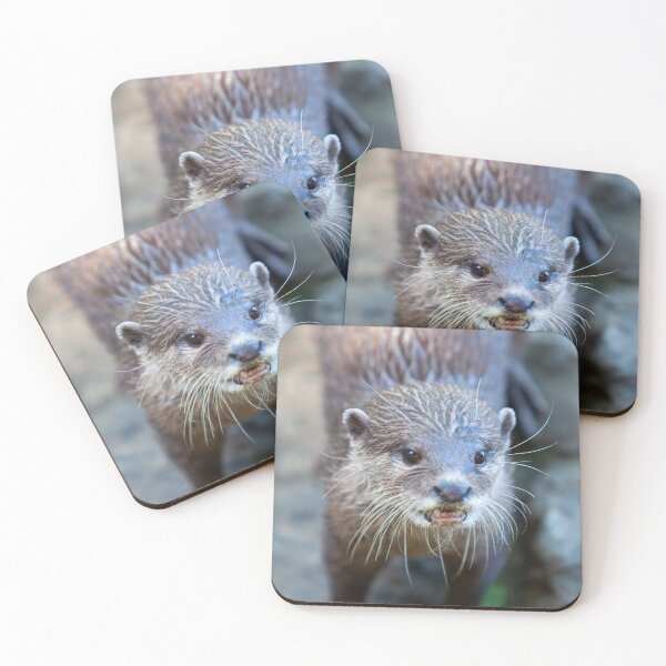 Item preview, Otter designed and sold by Sandra Lawrence.