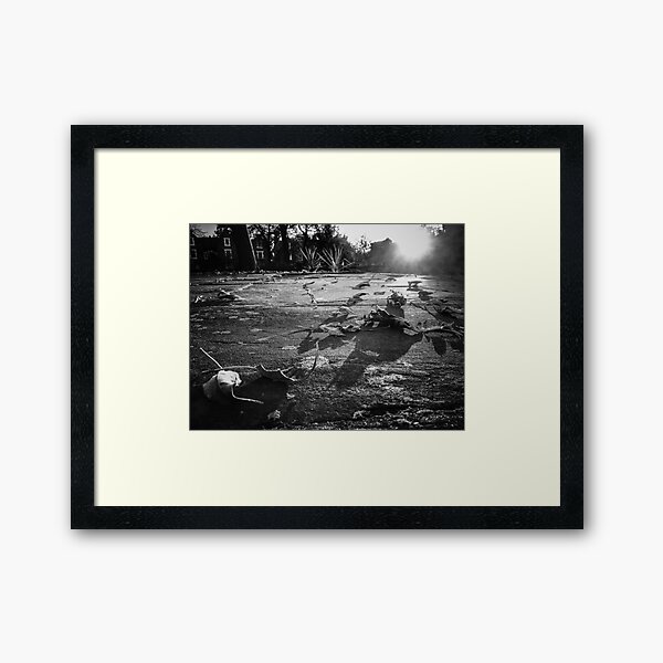 autumn sunset Framed Art Print