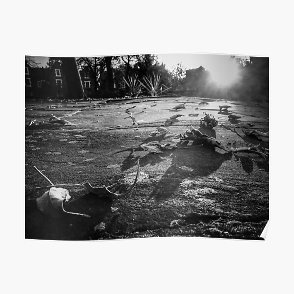 autumn sunset Poster