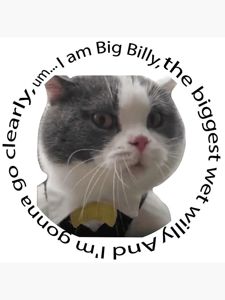 big-billy-cat-poster-for-sale-by-neggah-redbubble