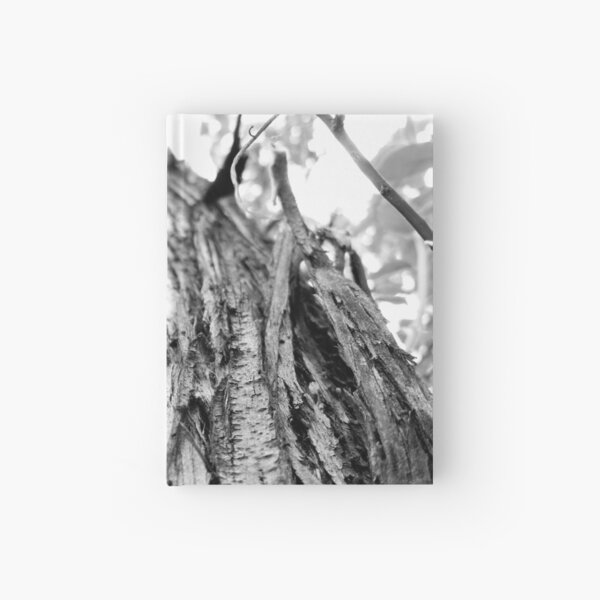 harsh life Hardcover Journal