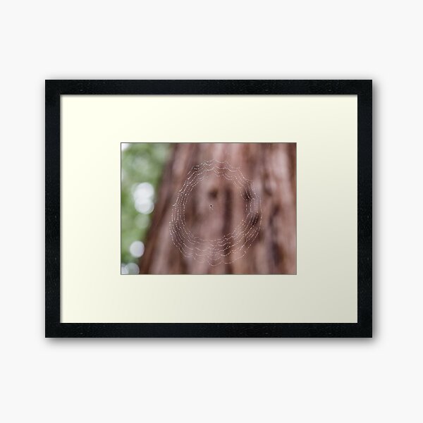 In Mid Air Framed Art Print