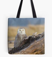 Snowy Owl in Evening Light Tote Bag