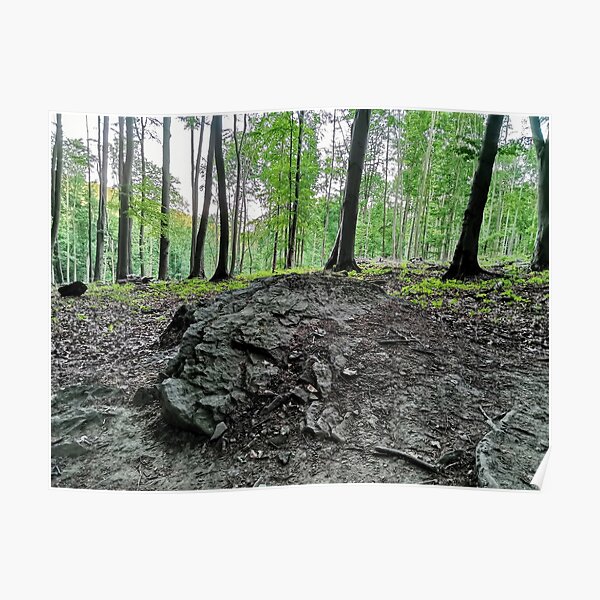 forrest Poster