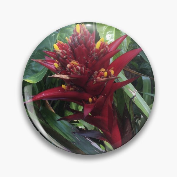 Item preview, Beautiful Bromeliad designed and sold by Cheryl Camacho.