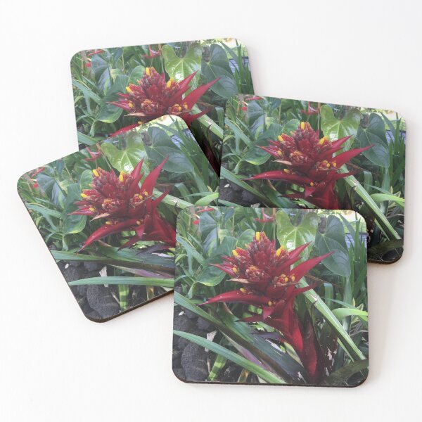 Item preview, Beautiful Bromeliad designed and sold by Cheryl Camacho.