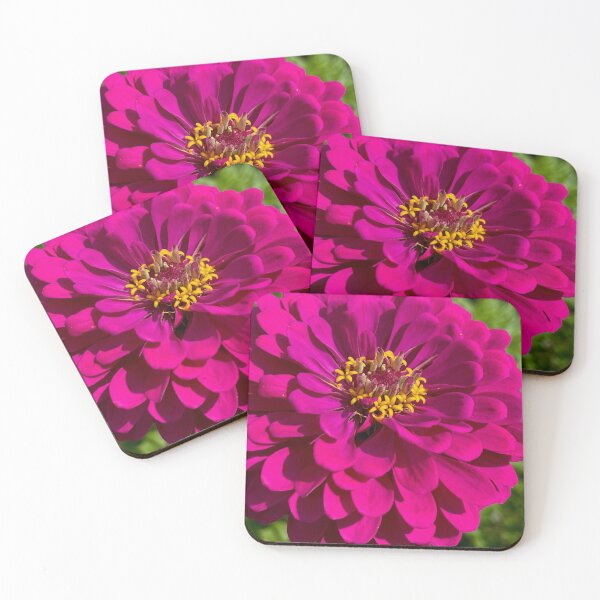 Item preview, Zesty Zinnia designed and sold by EverydaySacred.