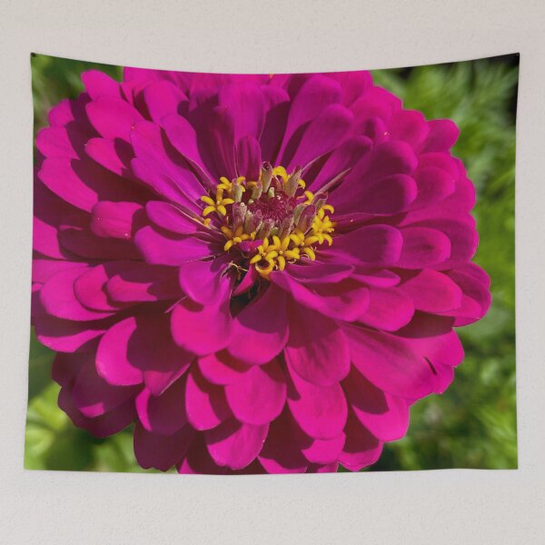 Item preview, Zesty Zinnia designed and sold by EverydaySacred.
