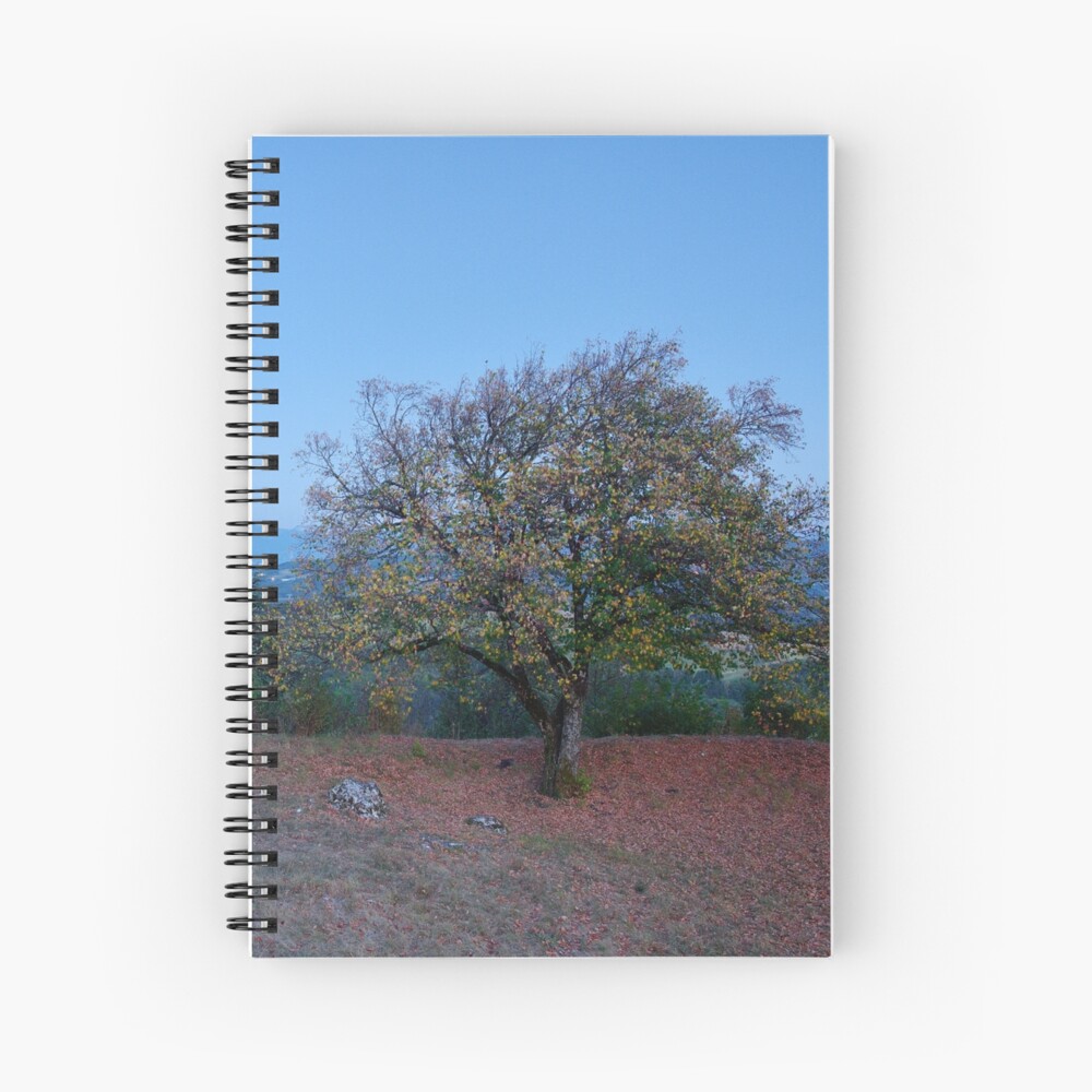 Item preview, Spiral Notebook designed and sold by patmo.