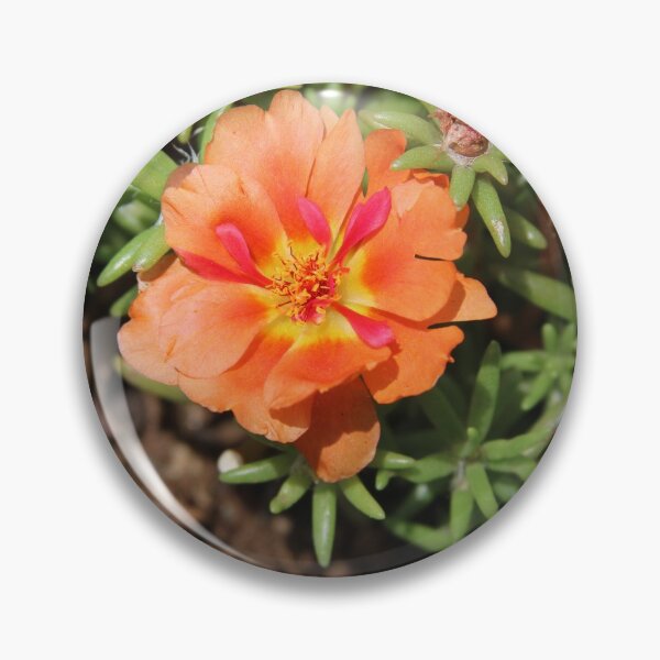 Item preview, Orange Flower Photographic Image designed and sold by AustaArt.