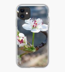 Pear tree blossom iPhone Case