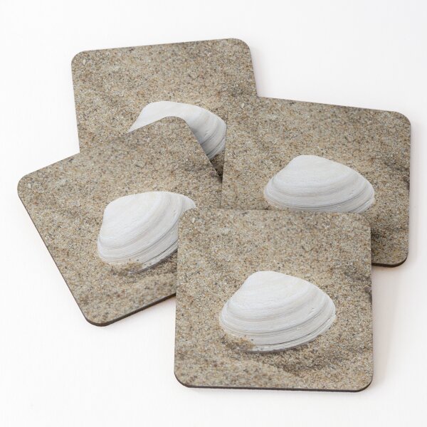 Item preview, Seashell designed and sold by Marije Kouyzer.