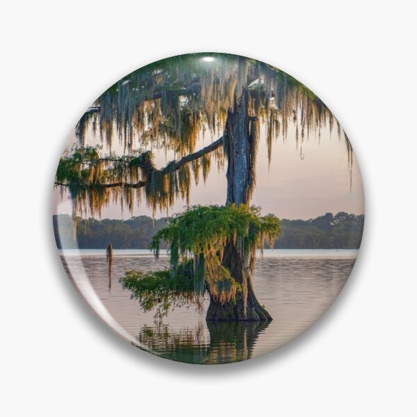 Item preview, Moss Draped Cypress Tree at Lake Martin in St. Martin Parish Louisiana designed and sold by Bonnie T.  Barry.