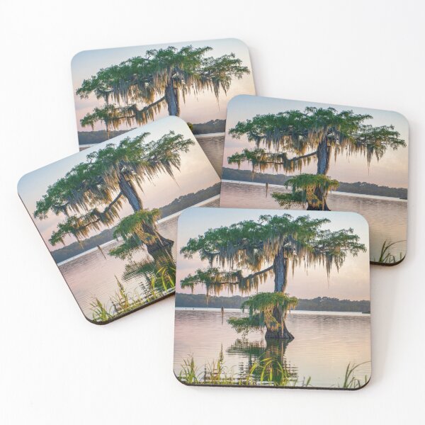 Item preview, Moss Draped Cypress Tree at Lake Martin in St. Martin Parish Louisiana designed and sold by Bonnie T.  Barry.