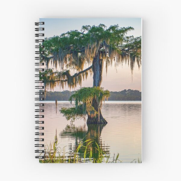 Item preview, Moss Draped Cypress Tree at Lake Martin in St. Martin Parish Louisiana designed and sold by Bonnie T.  Barry.