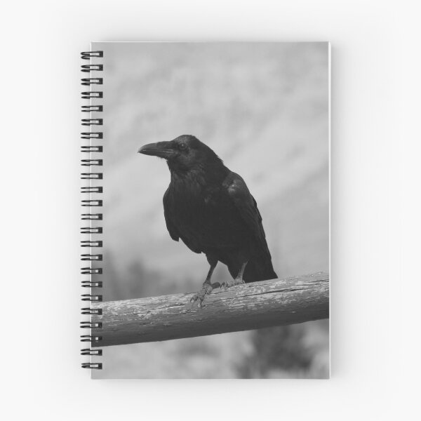 Item preview, Black and White Raven designed and sold by Marije Kouyzer.