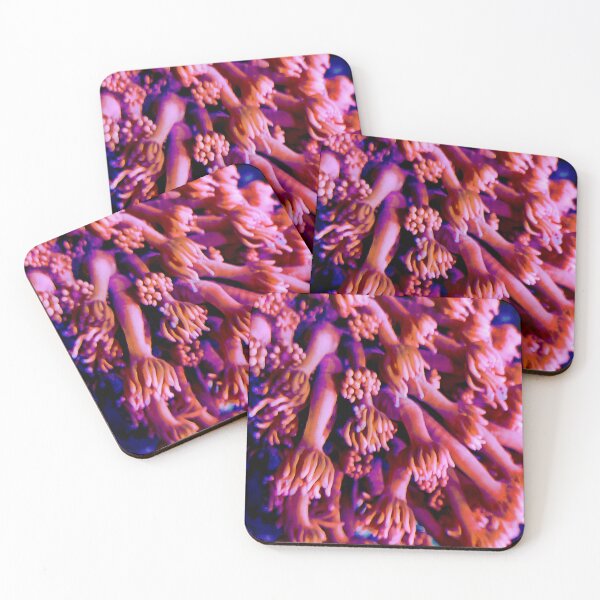 Item preview, Sea Life 3 designed and sold by Geoff Treagus.