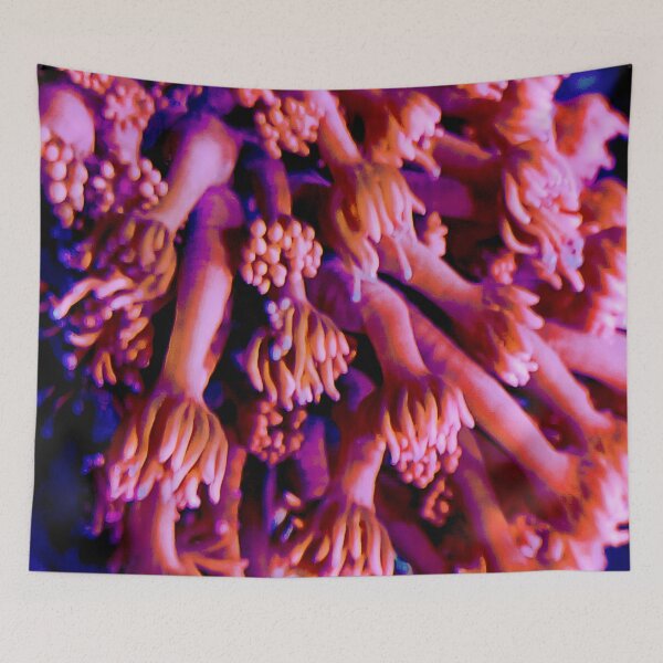 Item preview, Sea Life 3 designed and sold by Geoff Treagus.