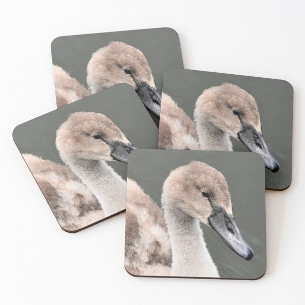 Item preview, Sweet Baby Swan designed and sold by DonnaM.
