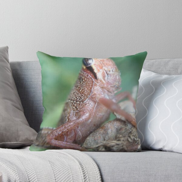 Item preview, Grasshopper designed and sold by Stacie Forest.