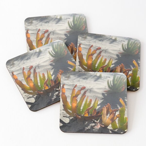 Item preview, Ice plant designed and sold by Terra Dumont.