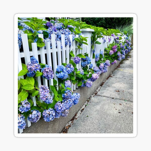 Item preview, Flowery Picket Fence  designed and sold by ClearNight.