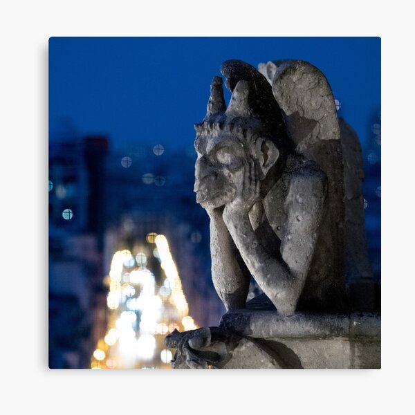 Stony Contemplation Canvas Print