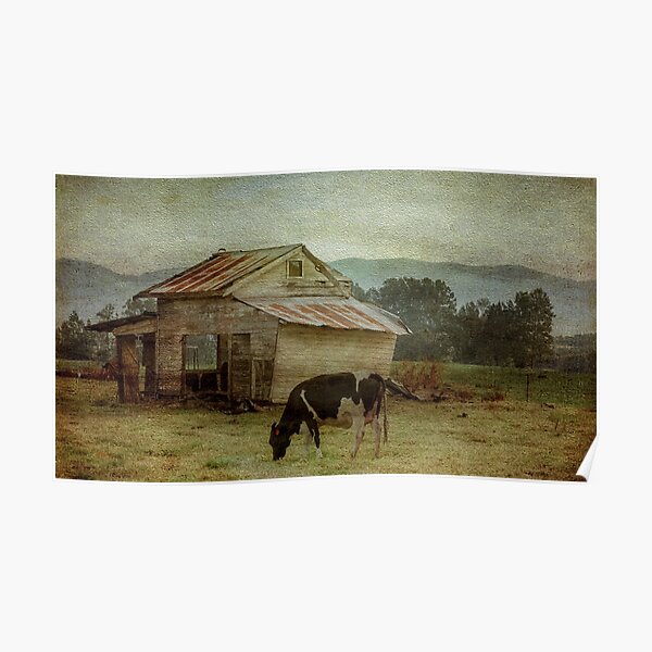 The Old Cow Shed Poster