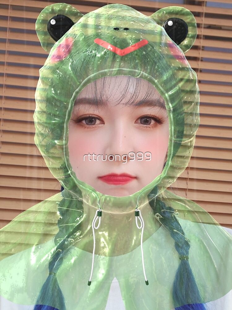 Dreamcatcher Kpop Dami Frog Filter Cute Sticker for Sale by