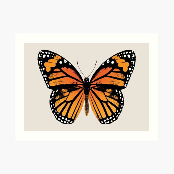 Monarch Butterfly | Vintage Butterflies | Art Print