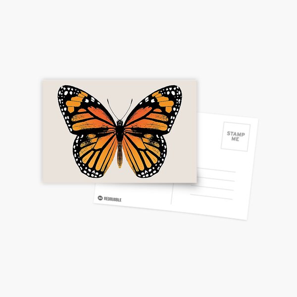 Monarch Butterfly | Vintage Butterflies | Postcard