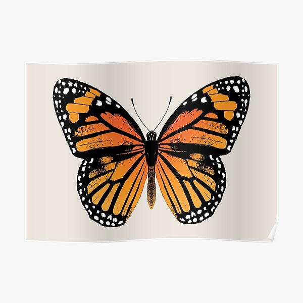 Monarch Butterfly | Vintage Butterflies | Poster