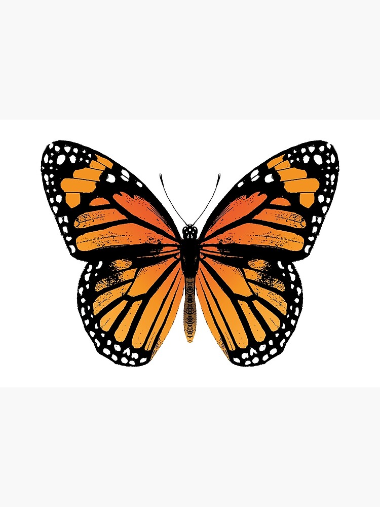Disover Monarch Butterfly | Vintage Butterflies | Premium Matte Vertical Poster