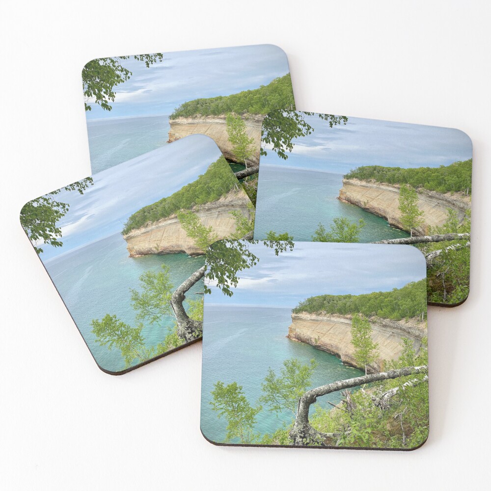 Item preview, Coasters (Set of 4) designed and sold by BionicDesigns.
