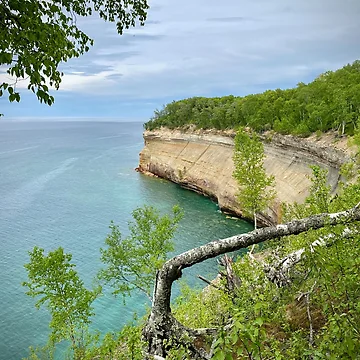 Artwork thumbnail, Pictured | Rocks by BionicDesigns