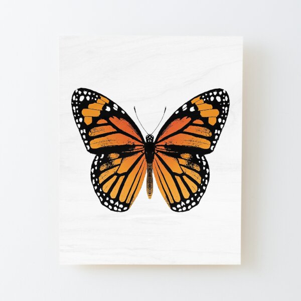 Monarch Butterfly | Vintage Butterflies |  Wood Mounted Print