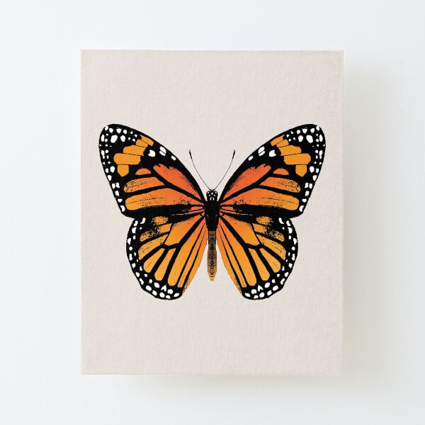 Monarch Butterfly | Vintage Butterflies | Canvas Mounted Print