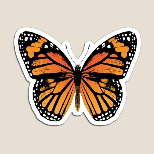 Monarch Butterfly | Vintage Butterflies | Magnet