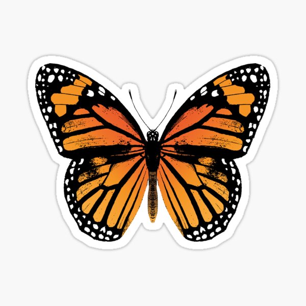 Monarch Butterfly | Vintage Butterflies | Sticker