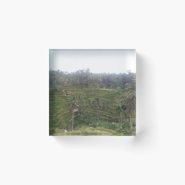 Item preview, Balinese Rice Fields designed and sold by Studiopanda.