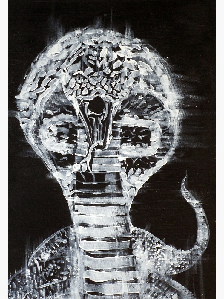 COBRA