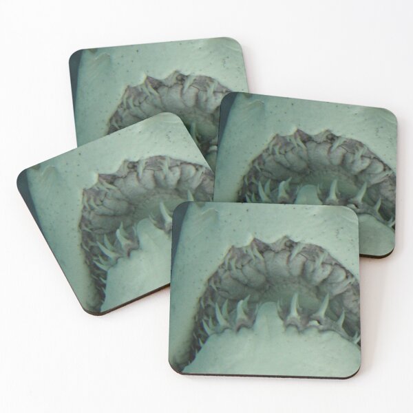 Item preview, Grey Nurse Mouth - Shark swimming over us - Queensland designed and sold by Studiopanda.