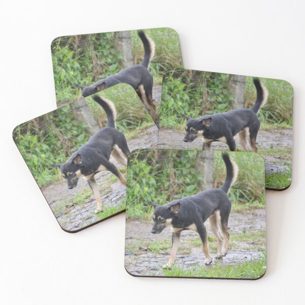 Item preview, Street Dog designed and sold by Capture  Room.